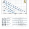 PKm 60  Pumps with peripheral impeller PEDROLLO - Image 2